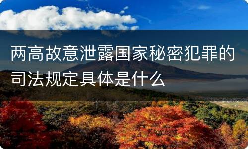 两高故意泄露国家秘密犯罪的司法规定具体是什么