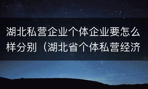 湖北私营企业个体企业要怎么样分别（湖北省个体私营经济发展中心）