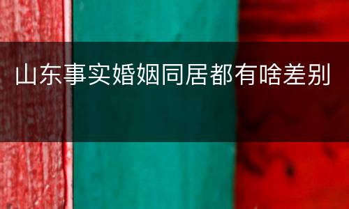 山东事实婚姻同居都有啥差别