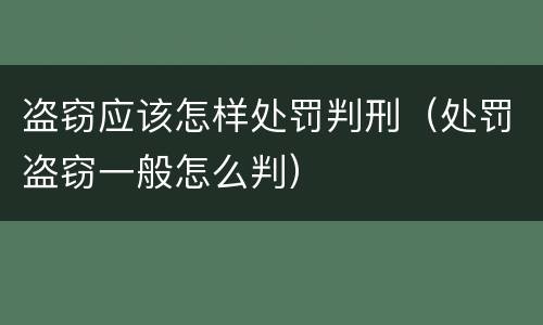 盗窃应该怎样处罚判刑（处罚盗窃一般怎么判）