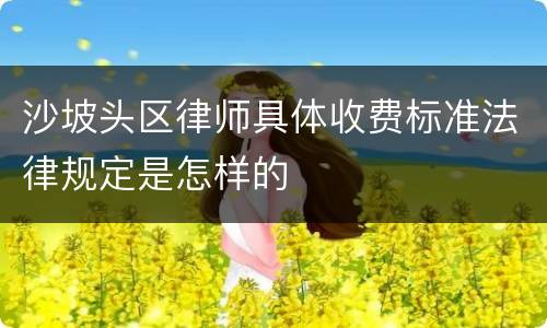 沙坡头区律师具体收费标准法律规定是怎样的