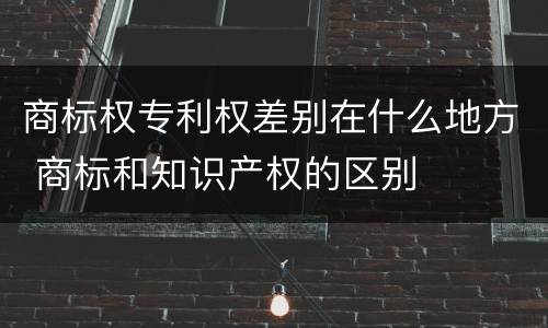 商标权专利权差别在什么地方 商标和知识产权的区别