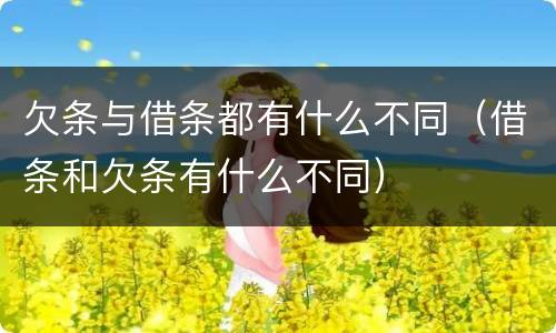 欠条与借条都有什么不同（借条和欠条有什么不同）