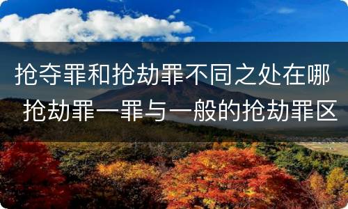 抢夺罪和抢劫罪不同之处在哪 抢劫罪一罪与一般的抢劫罪区别