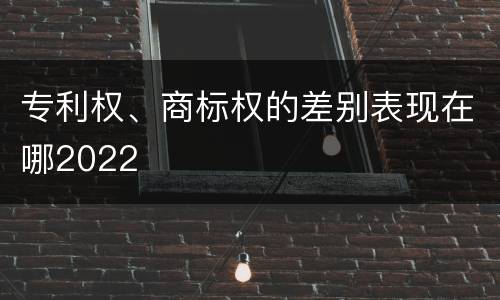 专利权、商标权的差别表现在哪2022