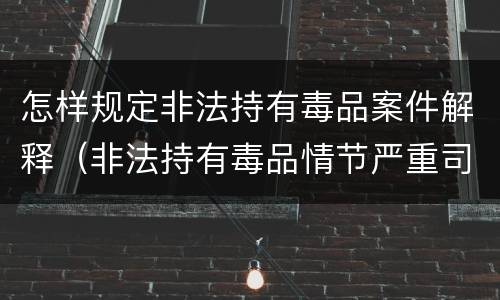 怎样规定非法持有毒品案件解释（非法持有毒品情节严重司法解释）
