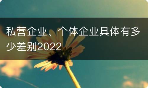 私营企业、个体企业具体有多少差别2022