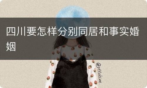 四川要怎样分别同居和事实婚姻