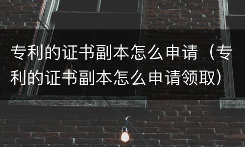 专利的证书副本怎么申请（专利的证书副本怎么申请领取）