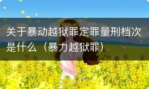 关于暴动越狱罪定罪量刑档次是什么（暴力越狱罪）