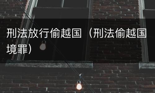 刑法放行偷越国（刑法偷越国境罪）