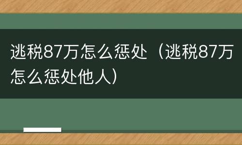逃税87万怎么惩处（逃税87万怎么惩处他人）