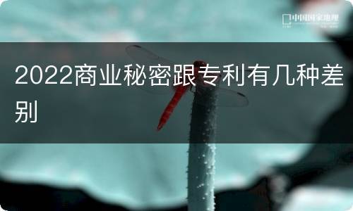2022商业秘密跟专利有几种差别