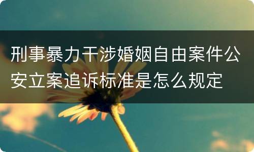 刑事暴力干涉婚姻自由案件公安立案追诉标准是怎么规定