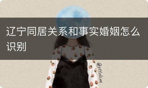 辽宁同居关系和事实婚姻怎么识别