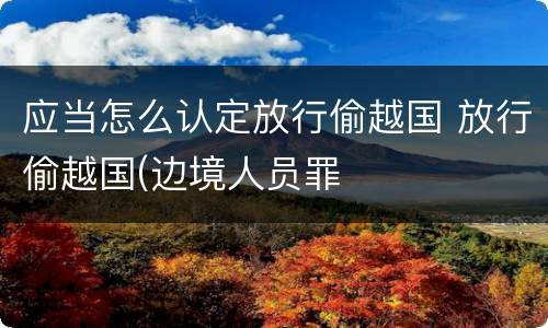 应当怎么认定放行偷越国 放行偷越国(边境人员罪