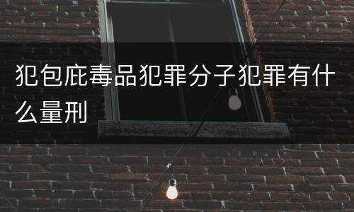 犯包庇毒品犯罪分子犯罪有什么量刑