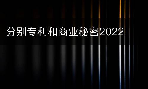 分别专利和商业秘密2022