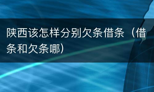 陕西该怎样分别欠条借条（借条和欠条哪）
