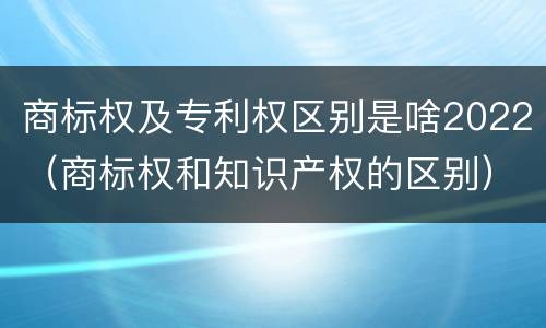 商标权及专利权区别是啥2022（商标权和知识产权的区别）