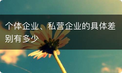 个体企业、私营企业的具体差别有多少