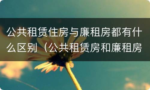 公共租赁住房与廉租房都有什么区别（公共租赁房和廉租房）