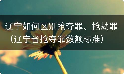 辽宁如何区别抢夺罪、抢劫罪（辽宁省抢夺罪数额标准）