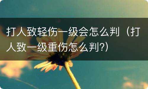 打人致轻伤一级会怎么判（打人致一级重伤怎么判?）