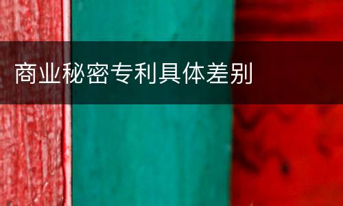 商业秘密专利具体差别