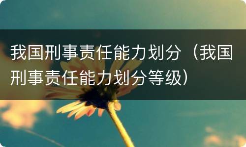 我国刑事责任能力划分（我国刑事责任能力划分等级）