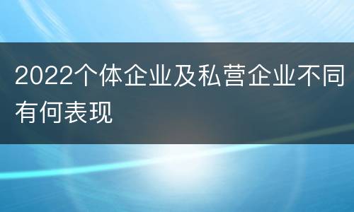 2022个体企业及私营企业不同有何表现