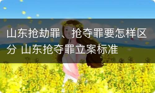 山东抢劫罪、抢夺罪要怎样区分 山东抢夺罪立案标准
