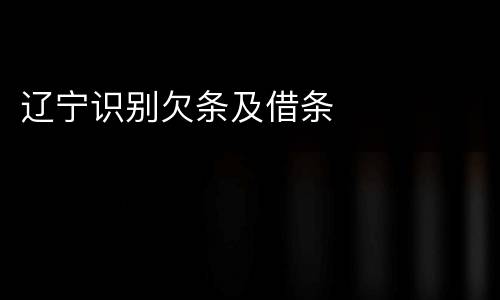 辽宁识别欠条及借条
