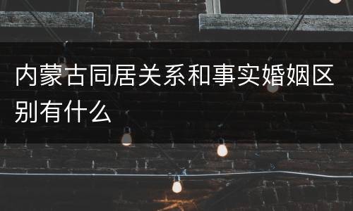 内蒙古同居关系和事实婚姻区别有什么