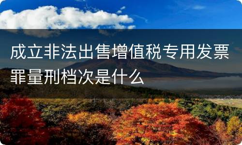 成立非法出售增值税专用发票罪量刑档次是什么