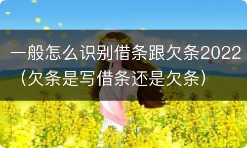 一般怎么识别借条跟欠条2022（欠条是写借条还是欠条）