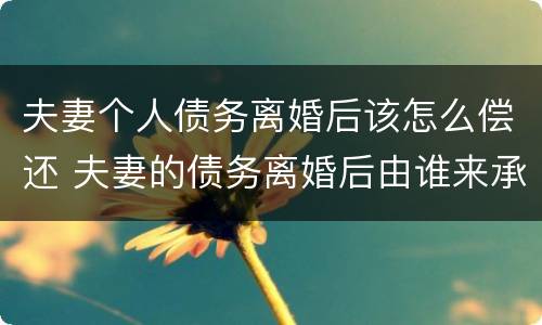 夫妻个人债务离婚后该怎么偿还 夫妻的债务离婚后由谁来承担