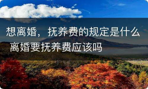 想离婚，抚养费的规定是什么 离婚要抚养费应该吗