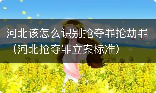 河北该怎么识别抢夺罪抢劫罪（河北抢夺罪立案标准）