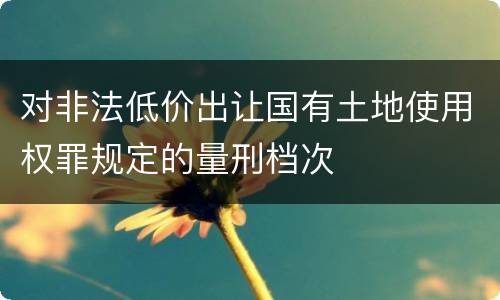 对非法低价出让国有土地使用权罪规定的量刑档次