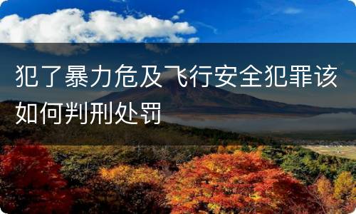 犯了暴力危及飞行安全犯罪该如何判刑处罚