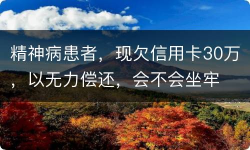 精神病患者，现欠信用卡30万，以无力偿还，会不会坐牢