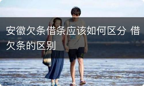 安徽欠条借条应该如何区分 借欠条的区别