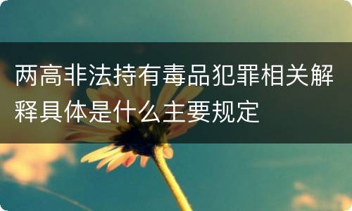 两高非法持有毒品犯罪相关解释具体是什么主要规定