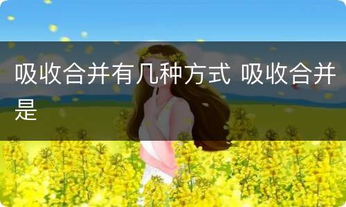 吸收合并有几种方式 吸收合并是