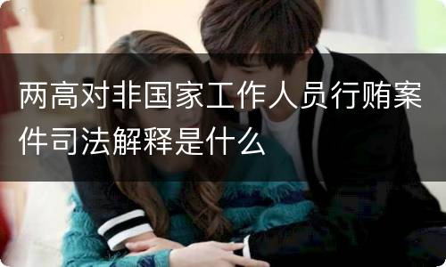 两高对非国家工作人员行贿案件司法解释是什么