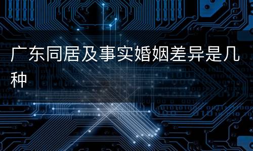 广东同居及事实婚姻差异是几种