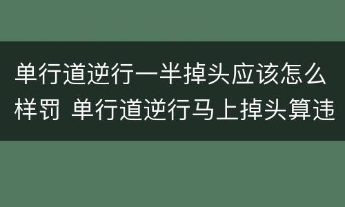 单行道逆行一半掉头应该怎么样罚 单行道逆行马上掉头算违章吗