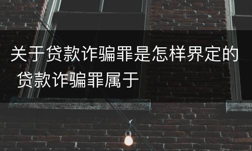 关于贷款诈骗罪是怎样界定的 贷款诈骗罪属于