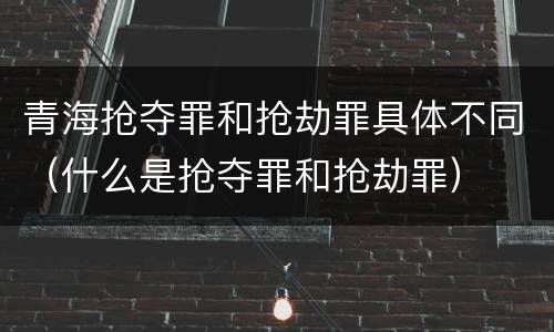 青海抢夺罪和抢劫罪具体不同（什么是抢夺罪和抢劫罪）